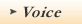 Voice